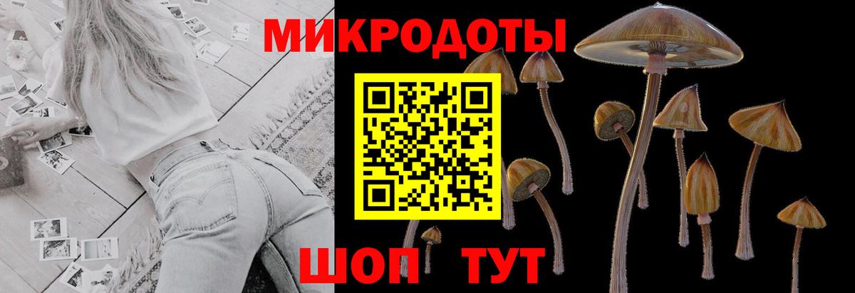 Сатка  Галлюциногенные грибы мицелий  Вход с VPN 